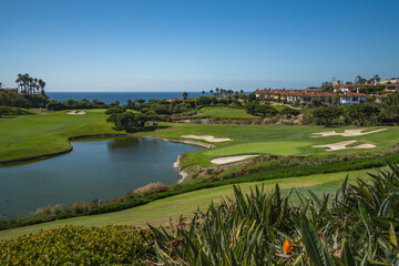 Green No.5 at Monarch Beach Golf Links, Dana Point, California, USA