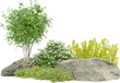 Realistic small garden. 3d rendering of isolated objects.