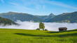 Alpine mountain landscape with green meadows, rural hayloft and Grosser Rettenstein Mountain on background. Sunny morning with weather inversion in the valley. Kitzbueheler Alps, Austria