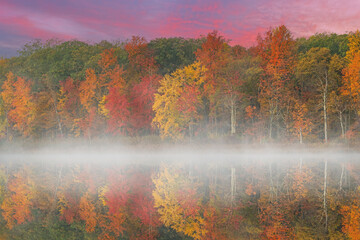 Wall Mural - Foggy autumn landscape at dawn of the shoreline of Deep Lake, Yankee Springs State Park, Michigan, USA
