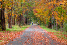 Fall, Autumn, Image Of A Long Paved Trail Extending In The Distance With Orange Leaves On The Ground.	