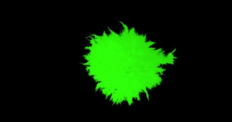 Wall Mural - abstract paint brush stroke shape white ink splattering flowing and washing on chroma key green scre