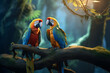 A couple of parrots sitting on a branch