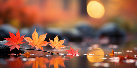 closeup colorful autumn bright autumn leaf, beautiful serene scenery, copy space for greeting card