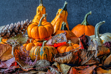 Wall Mural - Autumn still life