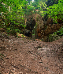 Mountain valley with few rock formation sovered by forest in Kokorin region in Czech republic