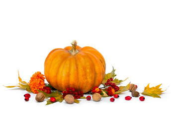 Wall Mural - pumpkin, acorns, nut, flowers marigold, red berries and autumnal colorful maple leaves on a white ba