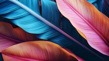 Colorful And Bright Tropical Leaves
