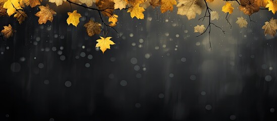 Poster - rain in the autumn setting