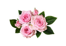 Pink Rose Flowers With Green Leaves In A Floral Arrangement Isolated On White Or Transparent Background