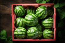 Ripe Watermelons, A Taste Of Summer's Freshness, Bring A Juicy And Healthy Burst Of Sweetness.