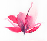 Fototapeta Motyle - A red stain like a flower. Abstract watercolor hand painted background.	