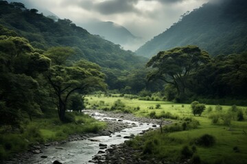 creek in the mountains, tropical, brazil