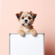 © Igor - a cute dog holding with blank white board on pastel background. ai generative