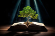 A tree grows out of a book with light shining like gaining knowledge on a black background. the concept of opening paper will allow you to see knowledge about the world, learn independently and improv