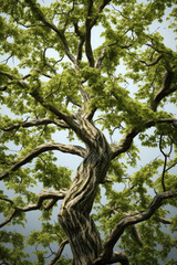 Poster - A beautiful painting of a tree with lush green leaves. Perfect for adding a touch of nature to any space