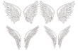 set of sketched angel wings