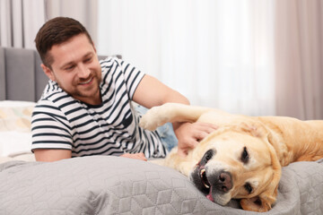 Sticker - Man with adorable Labrador Retriever dog on bed at home. Lovely pet