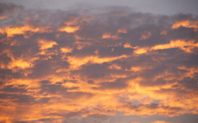Wall Mural - Cloudscape, Colored Clouds at Sunset near the Ocean, Background