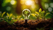 © Hector - a little plant inside a bulb, environment conservation bright ideas