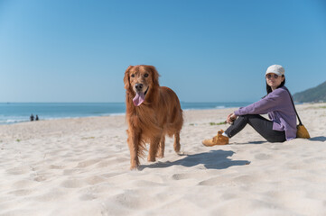 Poster - Golden Retriever accompanies its owner on the beach