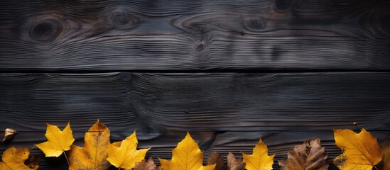 Canvas Print - Dark aged wood with wet yellow autumn leaves