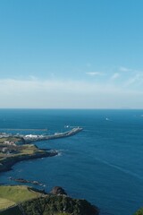 Wall Mural - A vertical aerial of the green shore and the sea, Jeju, South Korea