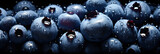 Fresh blueberries banner. Blueberry background. Close-up food photography