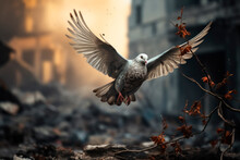 A  Pigeon Flying Over A War Destroyed City