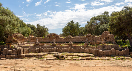 Ruins of the Roman Archeological Park of Tipaza, Tipasa, Algeria : theater. Beautiful green trees and blue sky.