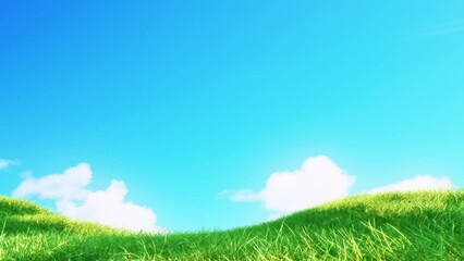 Wall Mural - grass slow windy noise on blue sky loop. scenery of meadow grass and windy slow on blue background.