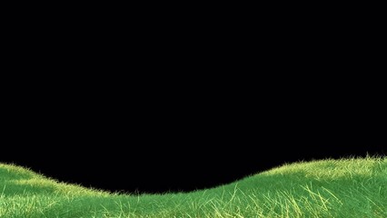 Wall Mural - grass wind noise loop on alpha channel. element footage place on footage or background and easier to