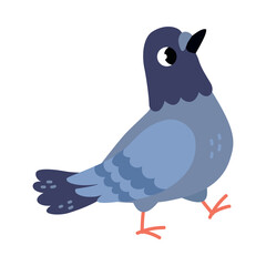 Sticker - Funny Grey Dove or Pigeon Flying Creature Walking Vector Illustration