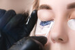 Close-up portrait of a woman having eyelash tinting procedure. A handyman wearing gloves removes excess paint with a cotton swab