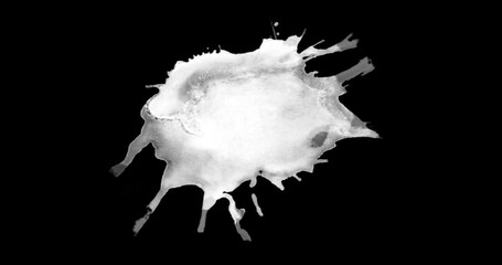 Wall Mural - abstract paint brush stroke shape white ink splattering flowing and washing on chroma key green scre