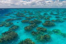 Blue Sea With Algae, Transparent Blue Sea With Green Algae Inside