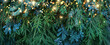Christmas background with fir branches and garland