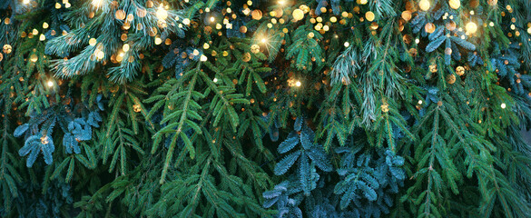 Wall Mural - christmas background with fir branches and garland