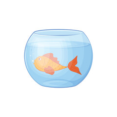 A fish in an aquarium. A goldfish swims in a round aquarium. Fish in the water. Vector illustration isolated on a white background.
