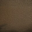 © adi - elephant skin texture illustration background