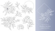 © Xenia - Peony Flower Line Art. Floral Frames and Bouquets Line Art. Fine Line Peony Frames Hand Drawn Illustration. Hand Draw Outline Leaves and Flowers. Botanical Coloring Page. Outline peony Isolated
