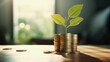 green plant growing from a stack of coins on a business table, representing the concept of sustainable financial growth, positive outcomes and good financial decisions 
