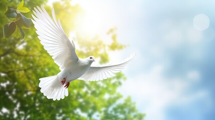 Poster - A free white dove holding green leaf branch flying in the sky. International Day of Peace concept background