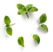 healthy and herbal medicine. fresh mint leaves with real transparent shadow isolated on transparent background