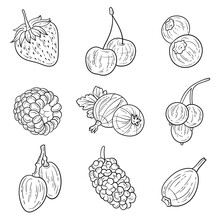 Set Of Hand Drawn Berries Ink Style. Strawberry, Cherry, Blueberry, Raspberry, Gooseberry, Currant, Grape, Mulberry, Brier. For Menu, Recipe Book, Educational, Coloring Items Design