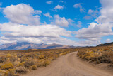 Fototapeta Sawanna - Views while hiking to Crowley Lake. Lots of clouds with a blue sky and autumn leaf colors.