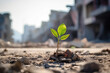 small sprout of a tree against the background of a destroyed city.