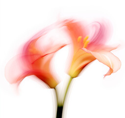 Poster - Blurred abstract lily flower background