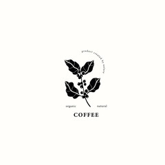 Wall Mural - Flat vector coffee plant drawing