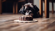 The dog lies on the floor in front of the cake. AI Generated